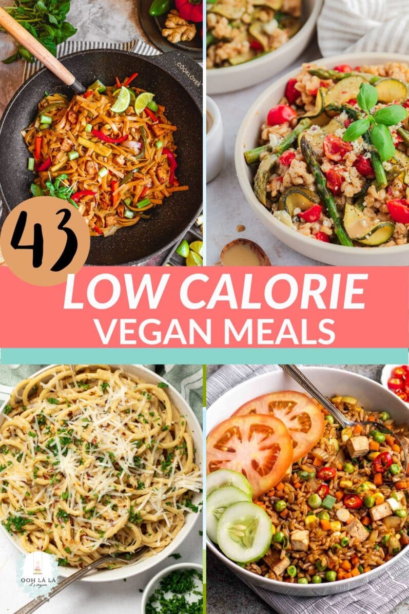 43-Low-Calorie-Vegan-Meals-Pinterest-Pin-1